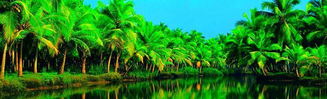 Chaandhni Lake View Hotel Alappuzha ภายนอก รูปภาพ